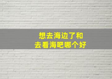 想去海边了和去看海吧哪个好