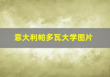 意大利帕多瓦大学图片