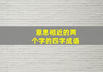 意思相近的两个字的四字成语