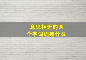 意思相近的两个字词语是什么