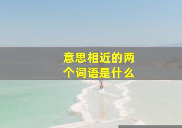 意思相近的两个词语是什么