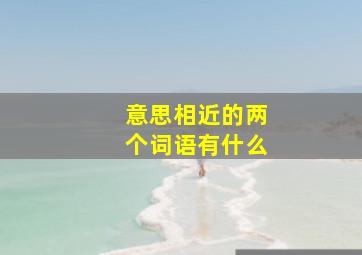 意思相近的两个词语有什么