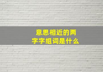 意思相近的两字字组词是什么