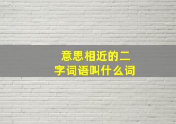 意思相近的二字词语叫什么词