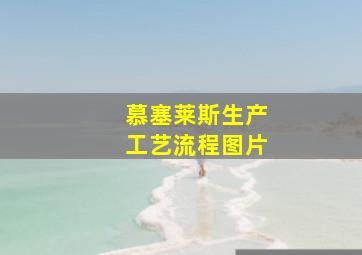 慕塞莱斯生产工艺流程图片