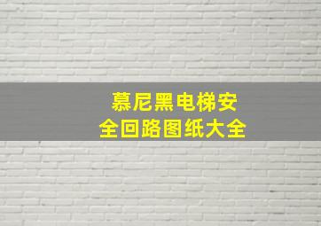 慕尼黑电梯安全回路图纸大全