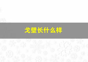 戈壁长什么样