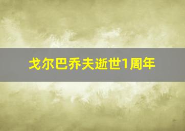 戈尔巴乔夫逝世1周年