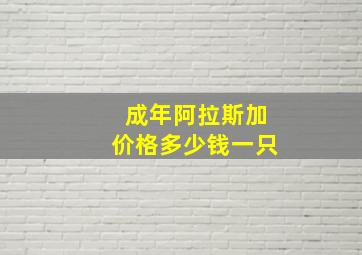 成年阿拉斯加价格多少钱一只