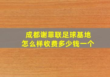 成都谢菲联足球基地怎么样收费多少钱一个