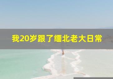 我20岁跟了缅北老大日常