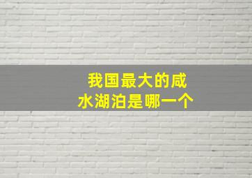 我国最大的咸水湖泊是哪一个