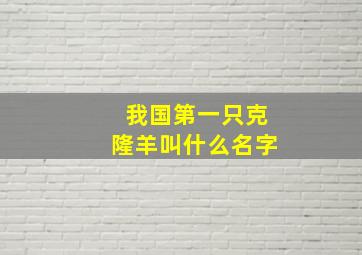 我国第一只克隆羊叫什么名字