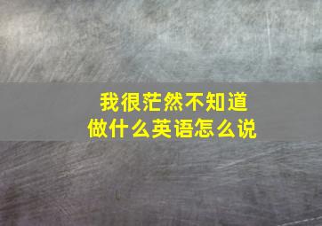 我很茫然不知道做什么英语怎么说