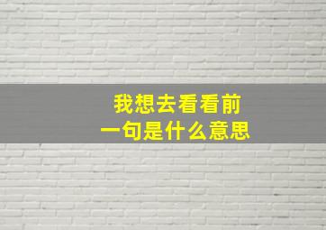 我想去看看前一句是什么意思