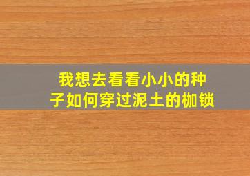 我想去看看小小的种子如何穿过泥土的枷锁