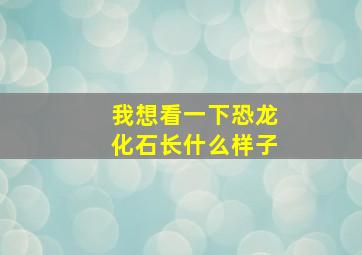 我想看一下恐龙化石长什么样子