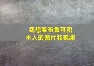 我想看布鲁可积木人的图片和视频