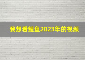 我想看鲤鱼2023年的视频