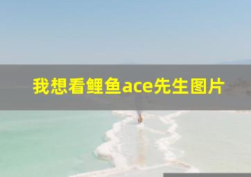 我想看鲤鱼ace先生图片