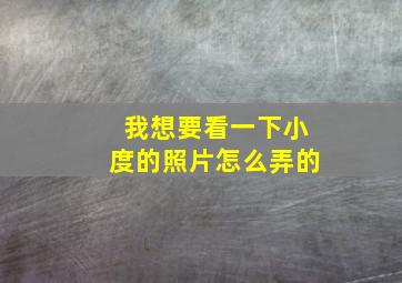 我想要看一下小度的照片怎么弄的