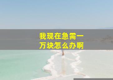 我现在急需一万块怎么办啊