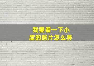 我要看一下小度的照片怎么弄