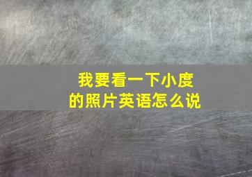 我要看一下小度的照片英语怎么说