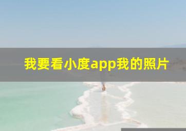 我要看小度app我的照片