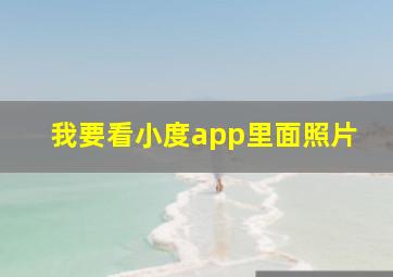 我要看小度app里面照片