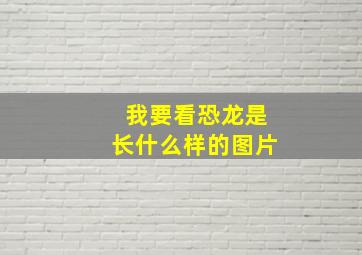 我要看恐龙是长什么样的图片