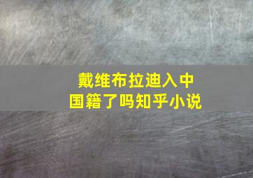 戴维布拉迪入中国籍了吗知乎小说