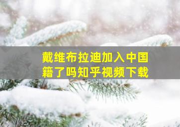 戴维布拉迪加入中国籍了吗知乎视频下载