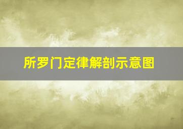 所罗门定律解剖示意图