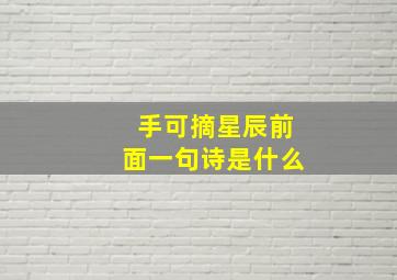 手可摘星辰前面一句诗是什么