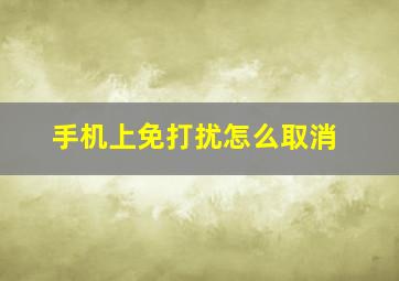 手机上免打扰怎么取消