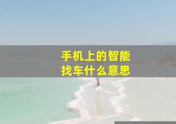 手机上的智能找车什么意思