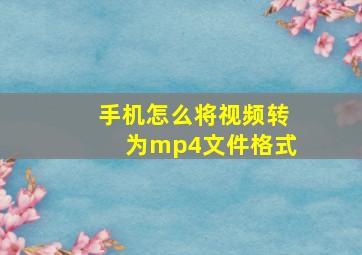 手机怎么将视频转为mp4文件格式