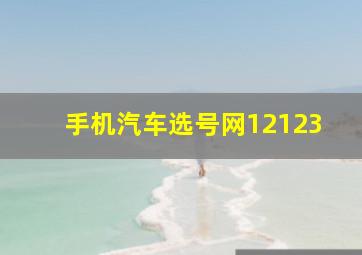 手机汽车选号网12123