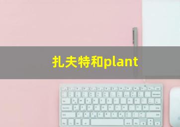 扎夫特和plant