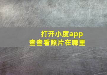 打开小度app查查看照片在哪里