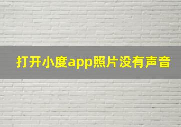 打开小度app照片没有声音