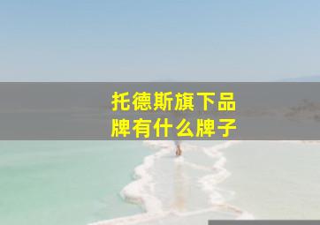 托德斯旗下品牌有什么牌子