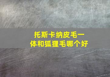 托斯卡纳皮毛一体和狐狸毛哪个好