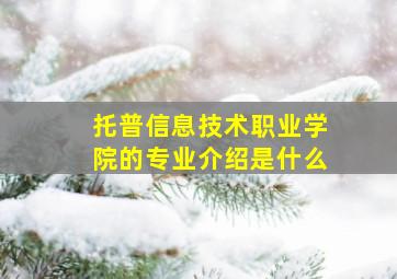 托普信息技术职业学院的专业介绍是什么