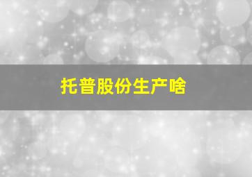 托普股份生产啥