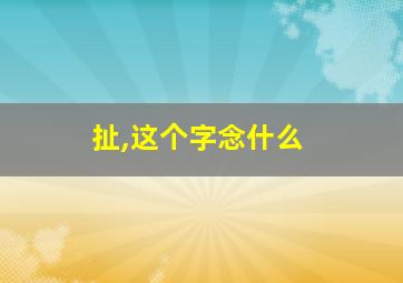 扯,这个字念什么