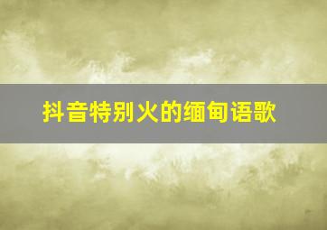 抖音特别火的缅甸语歌