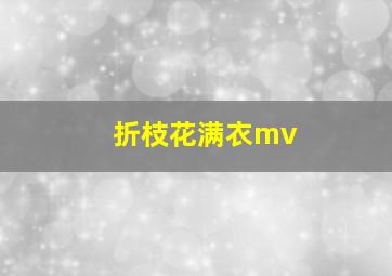 折枝花满衣mv