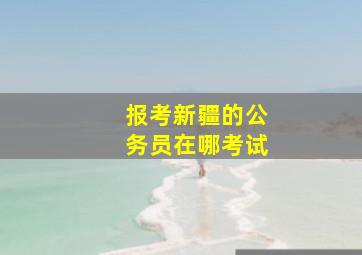 报考新疆的公务员在哪考试